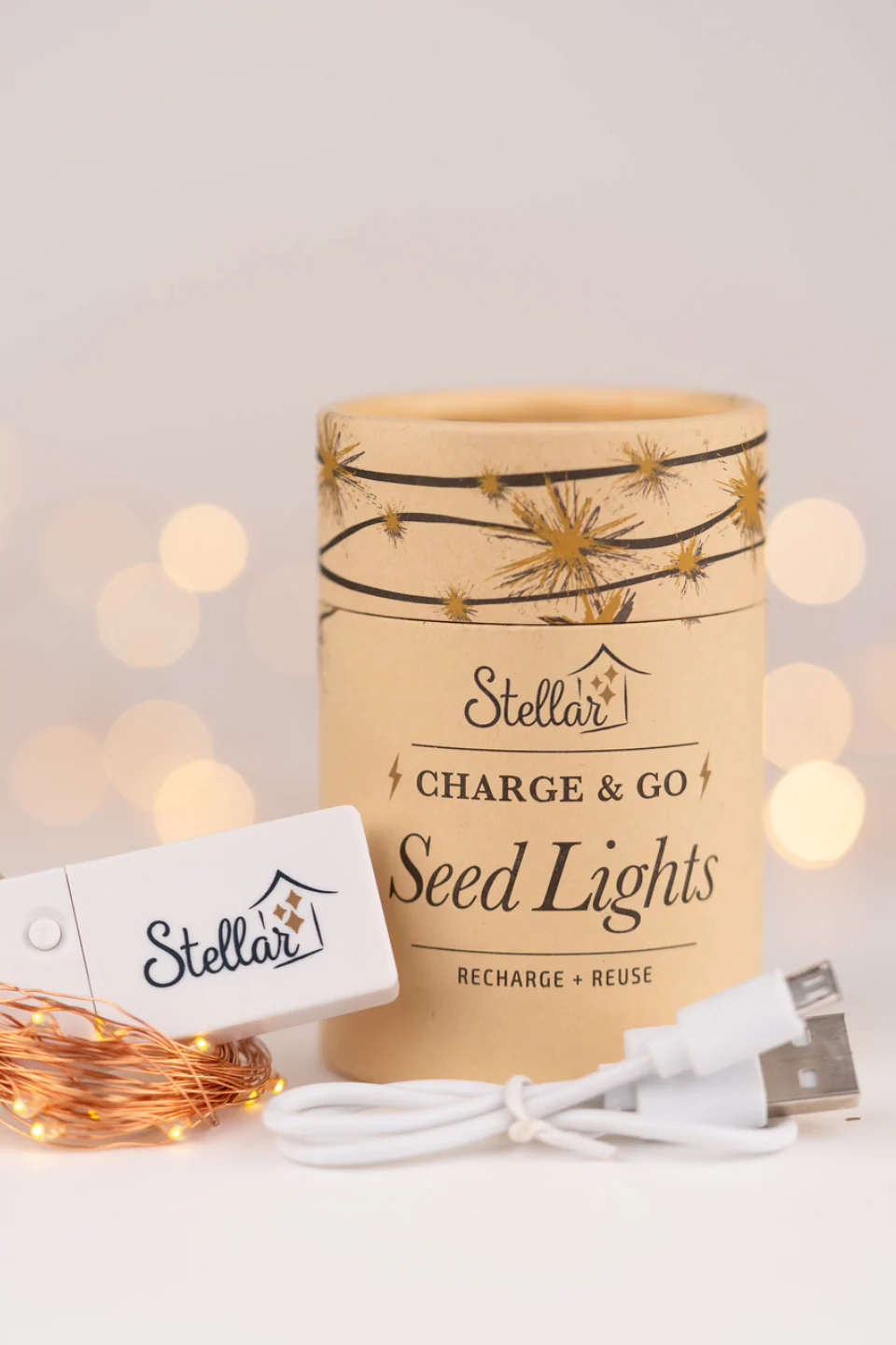 Charge & Go Copper Warm White Rechargable 3m String Seed Lights - Image 2