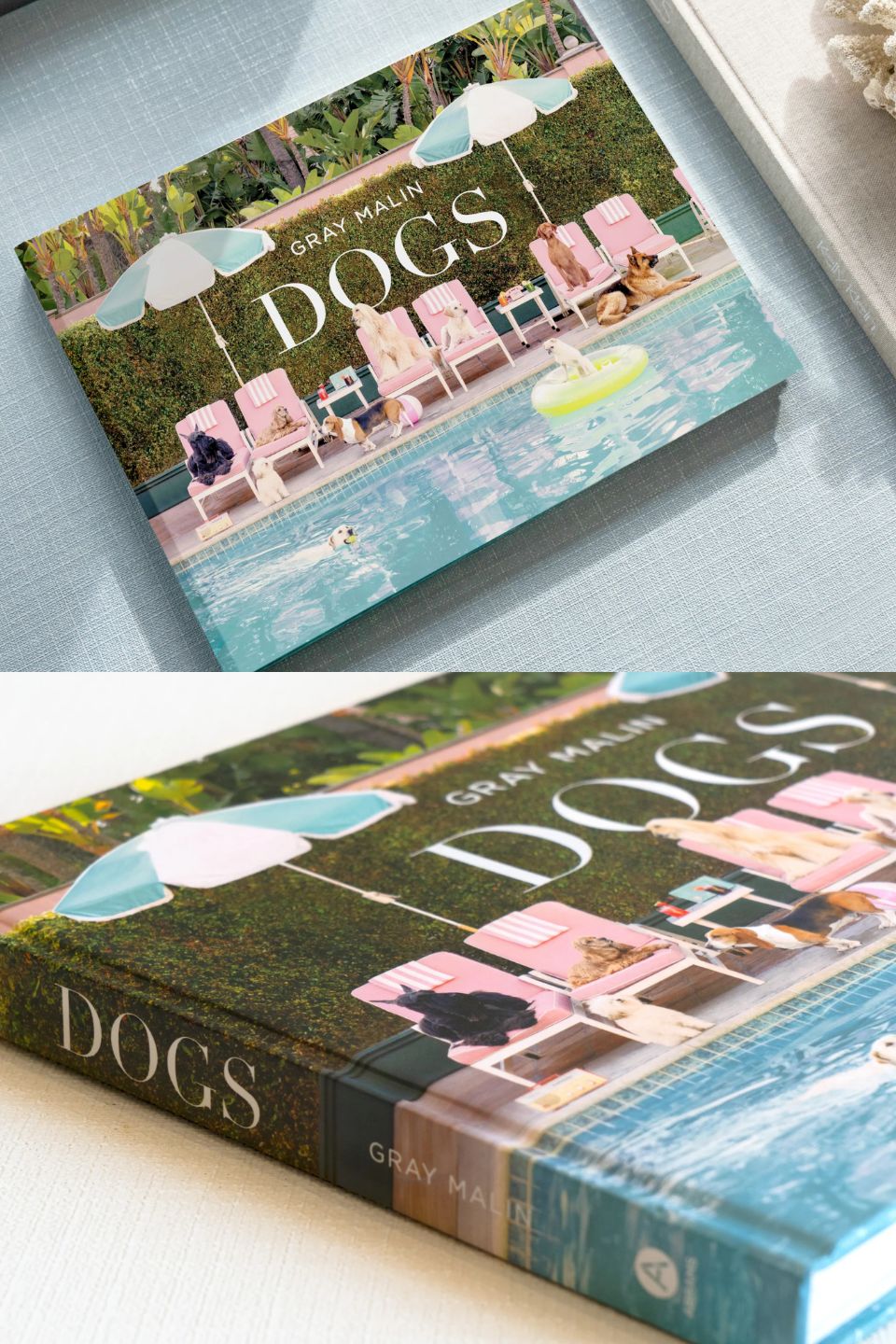Gray Malin: Dogs - Image 2