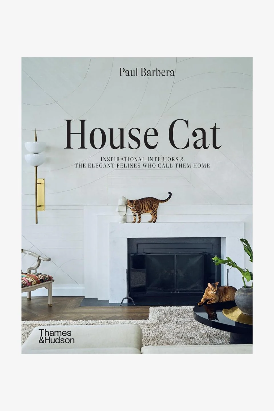 House Cat - Image 2