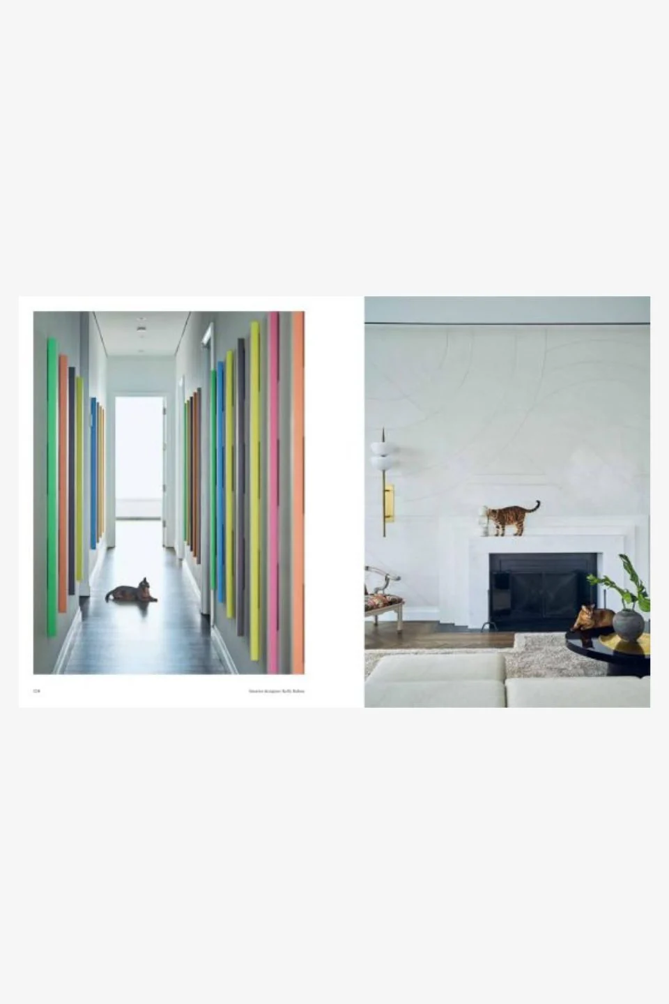 House Cat - Image 6